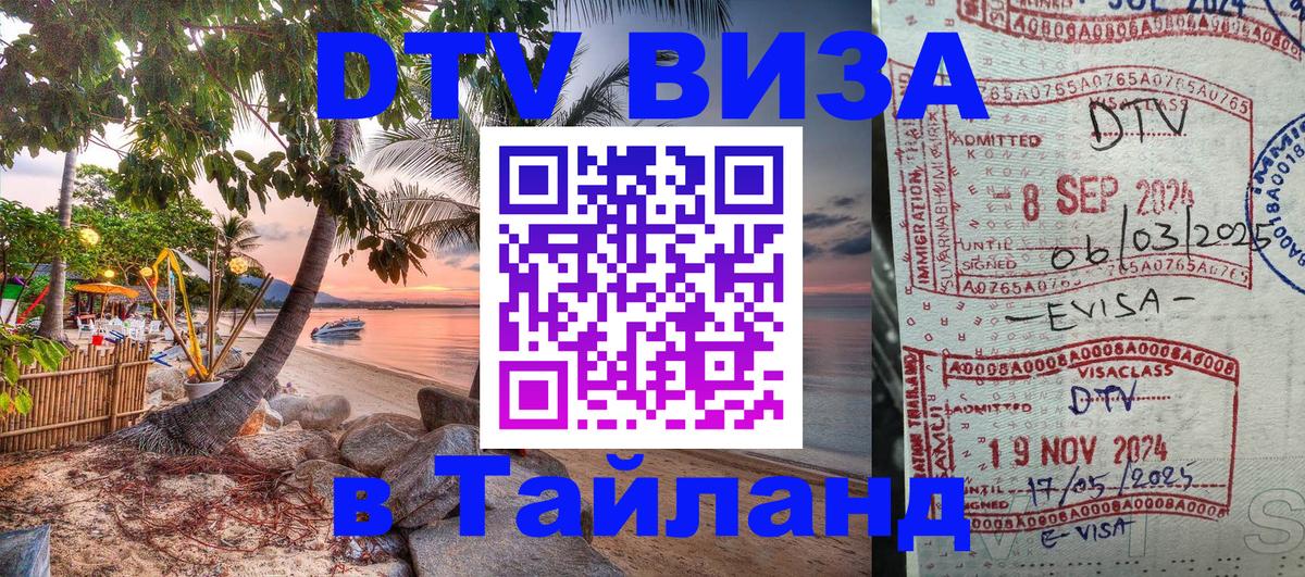 Оформление DTV визы под ключ: стоимость и тарифы, только загранпаспорт - 20.11.2025 